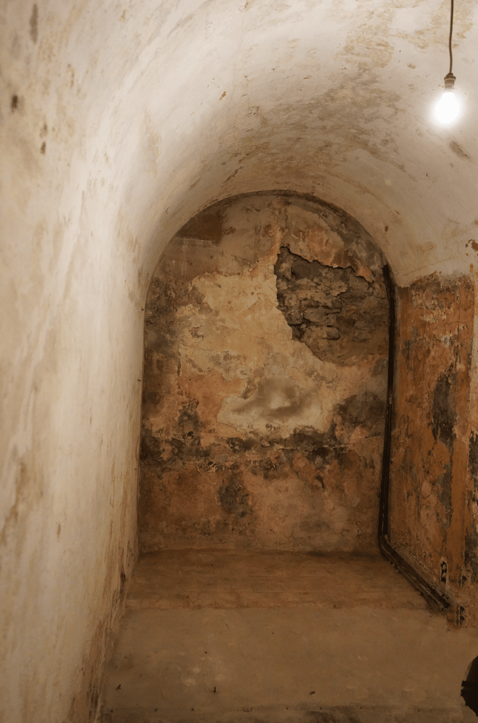 Demeure de charme d'exception — Le Vieux Moulin — la cave voûtée — Six-Fours-les-Plages — Maison & Vous