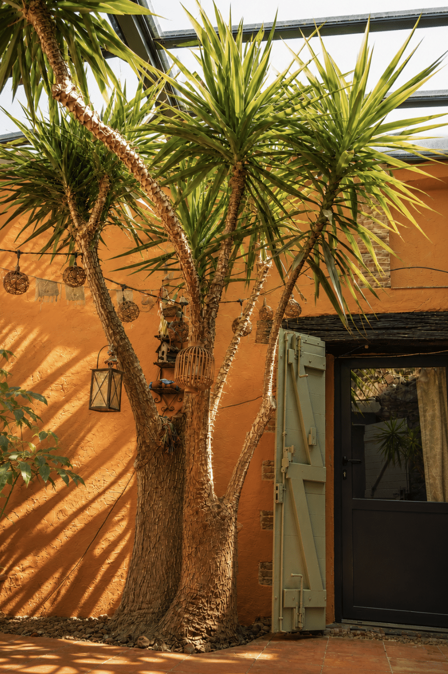 Demeure de charme d'exception — Le Vieux Moulin — vue 4 — Six-Fours-les-Plages — Maison & Vous